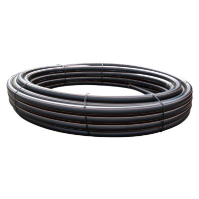 070634290_02