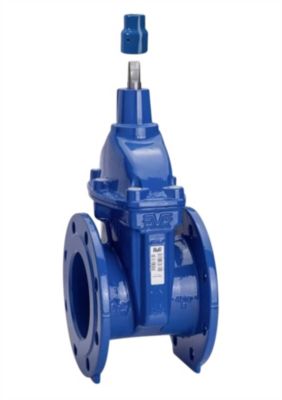 AVK skydeventil med spindel DN65 med AISI316