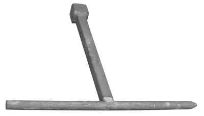 145363520_01