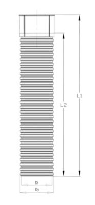 192029233_02
