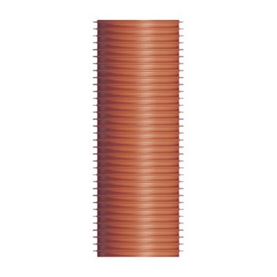 195521204_01