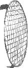 354010250_01