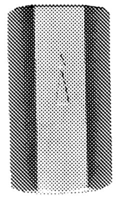 368081004_01