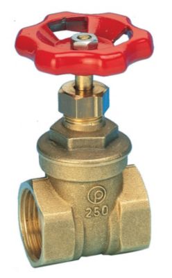 Pettinaroli skydeventil 2 1/2". Muffe-muffe. Messing