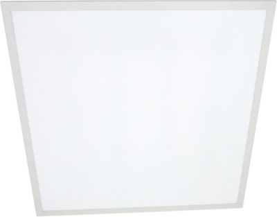 4242006256_01