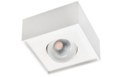 4242025405_01