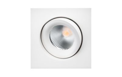 4242025818_01