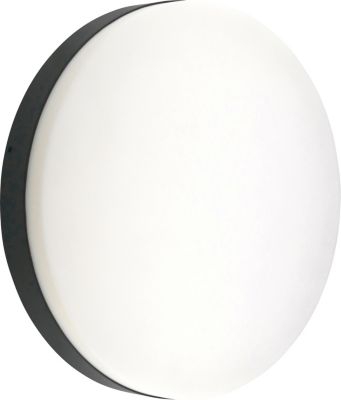 4243001268_01