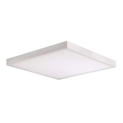 4246018207_01
