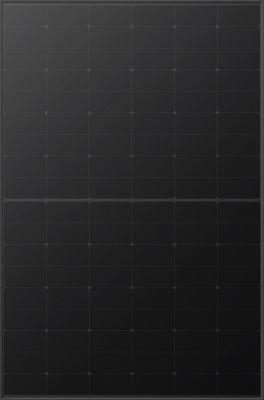 4278348094_02