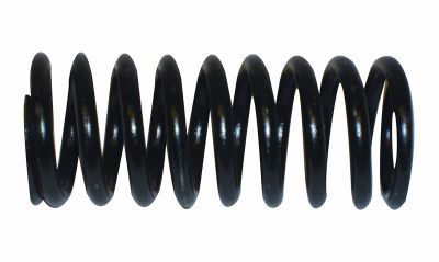 EGO fjeder DN25, 1400 8,0 - 10,0 bar, code M11850