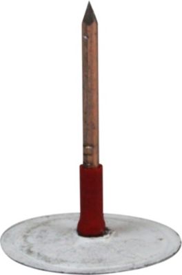 498291025_01