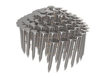 504803238_01