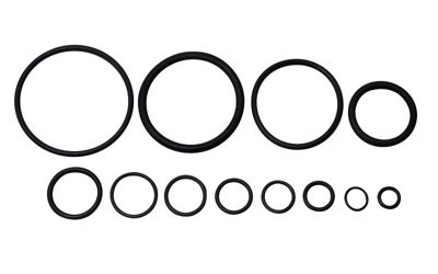 505444210_01