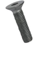 525320269_01