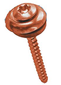 525326651_01