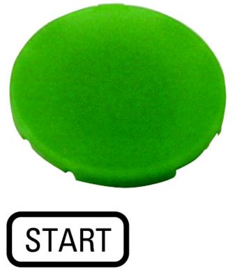 5317181963_01