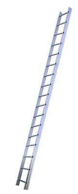 569303005_01