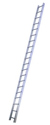 569303006_01