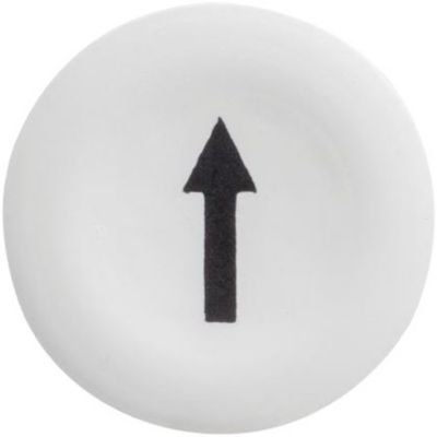7517808701_01