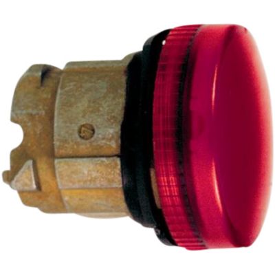 7517808895_01