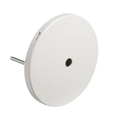 Lampeudtag